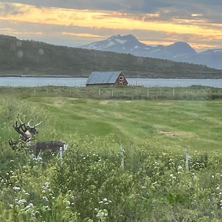 Hos Laura & Valdemar Villa Nord-Lenangen Bagian luar foto
