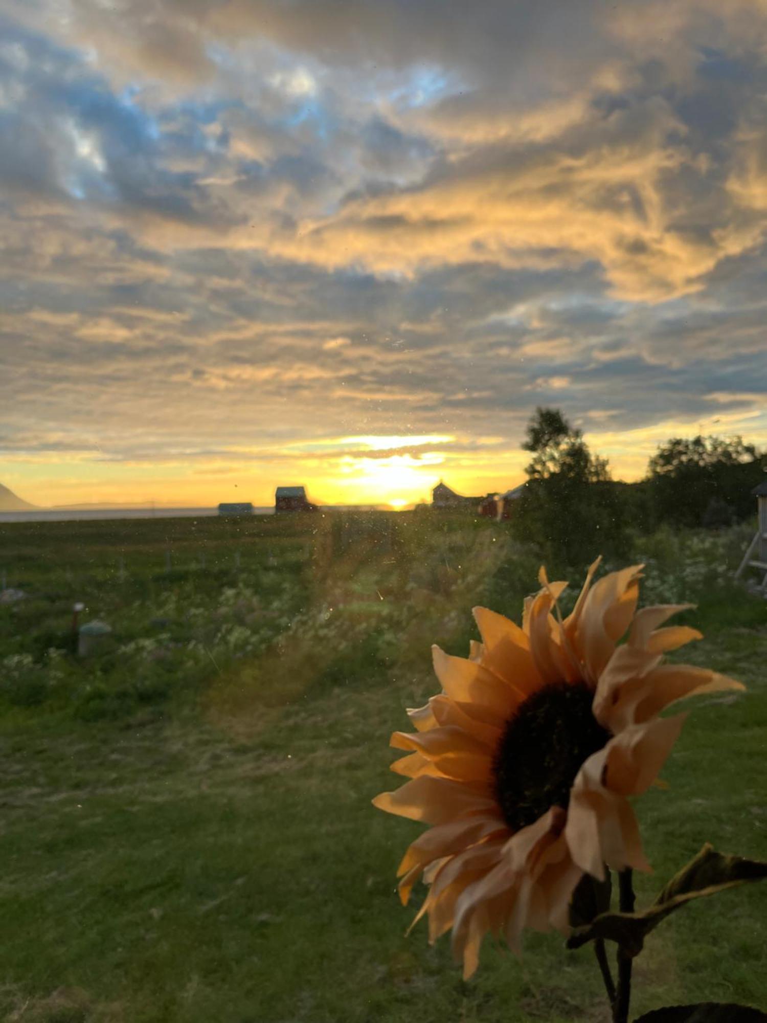 Hos Laura & Valdemar Villa Nord-Lenangen Bagian luar foto