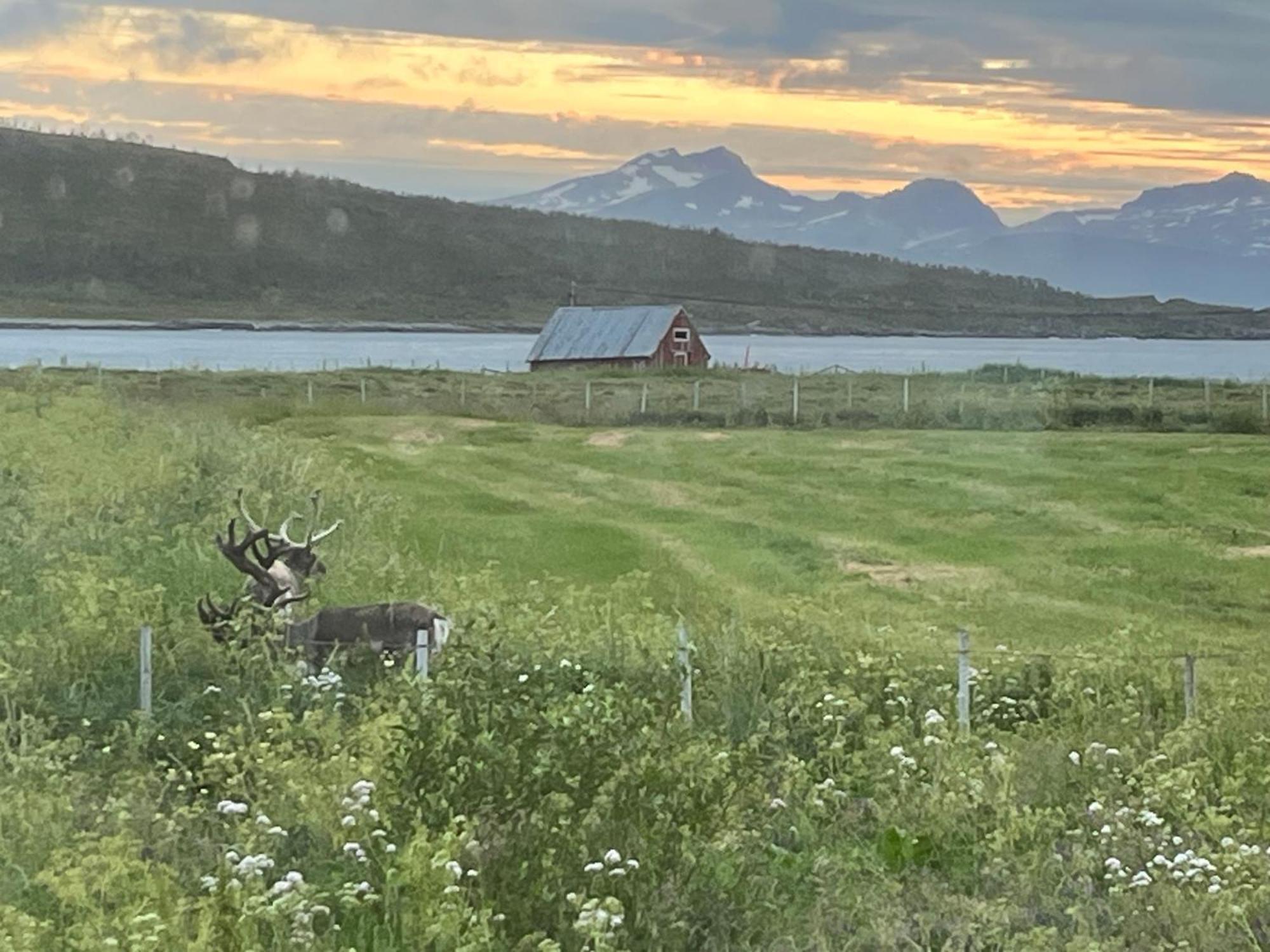 Hos Laura & Valdemar Villa Nord-Lenangen Bagian luar foto