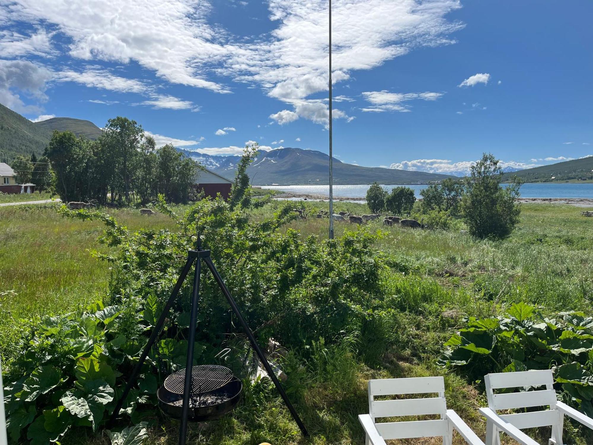 Hos Laura & Valdemar Villa Nord-Lenangen Bagian luar foto